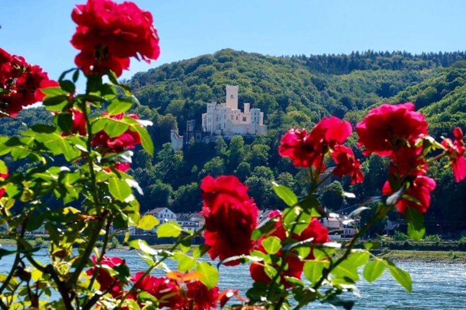 Villa Lahr Lahr  Екстериор снимка